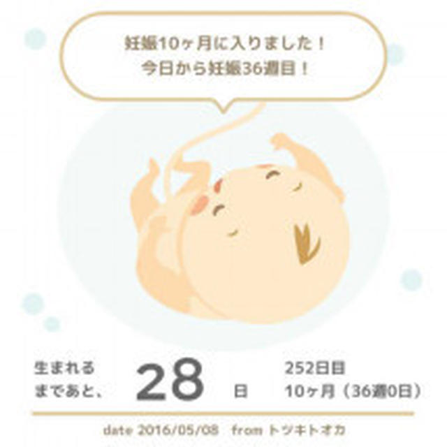 38w1d検診☆