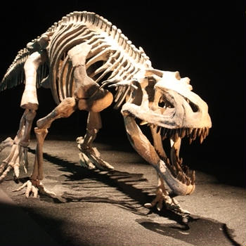 地球最古の恐竜展*天空の恐竜ミュージアム