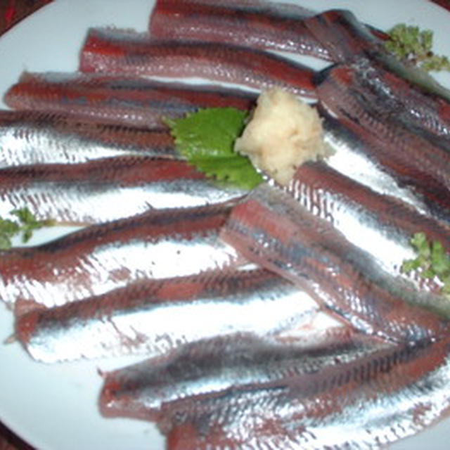 鰯の刺身
