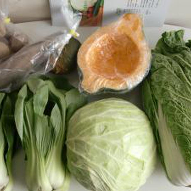 おにおんぼうずさんの規格外野菜♪