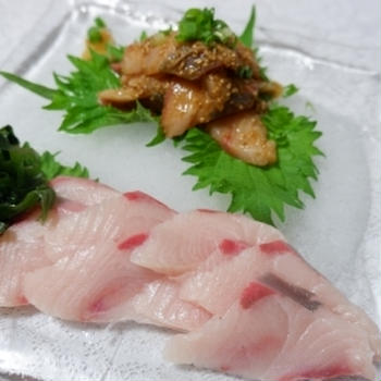 5/30　鰤の刺身