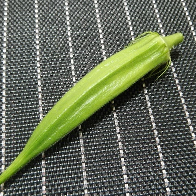 おくら