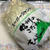 パタパタmamma