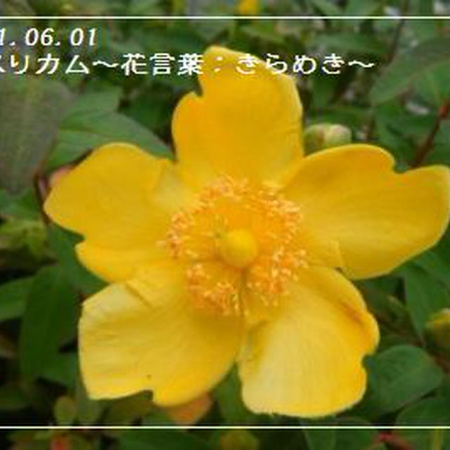 【記録】作業員の確保。。。