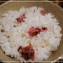 桜の香りが嬉しい「桜ご飯」♪