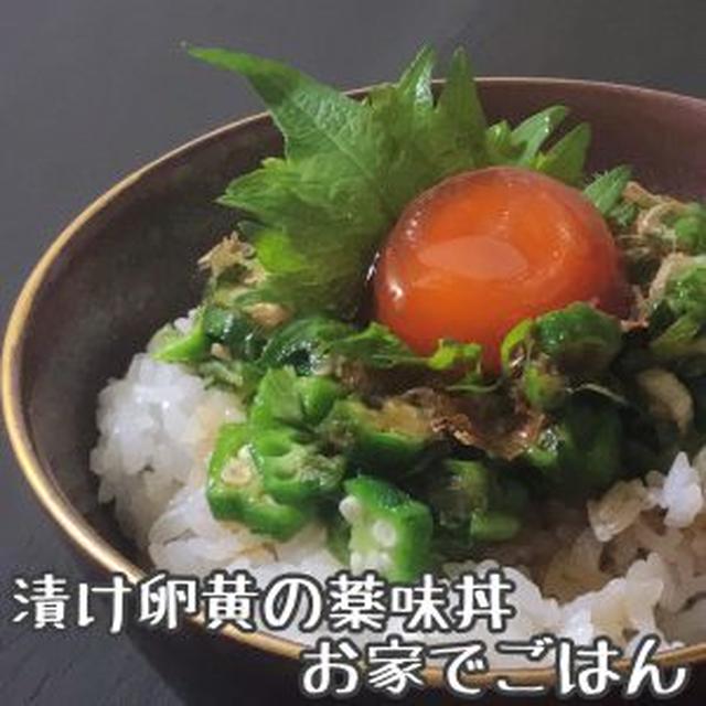 漬け卵黄の薬味丼