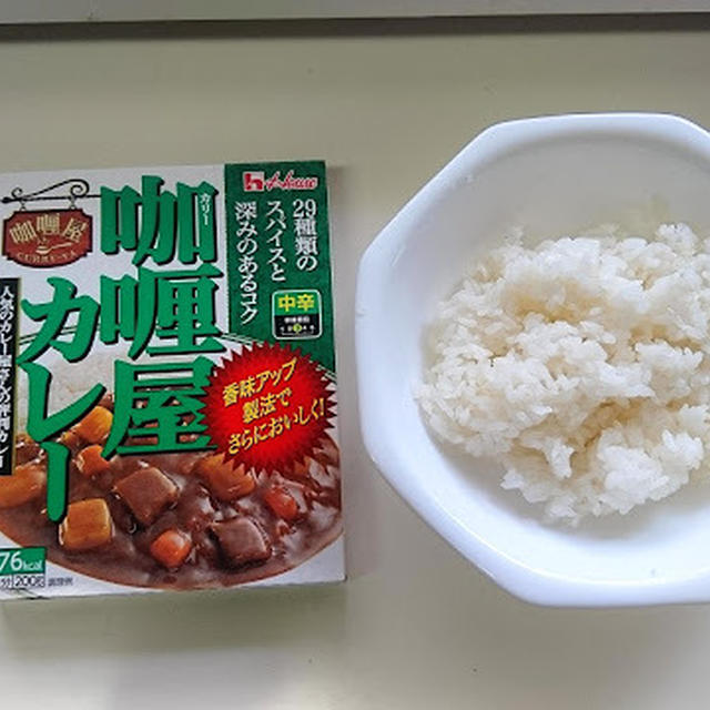 すし飯のシャリカレー