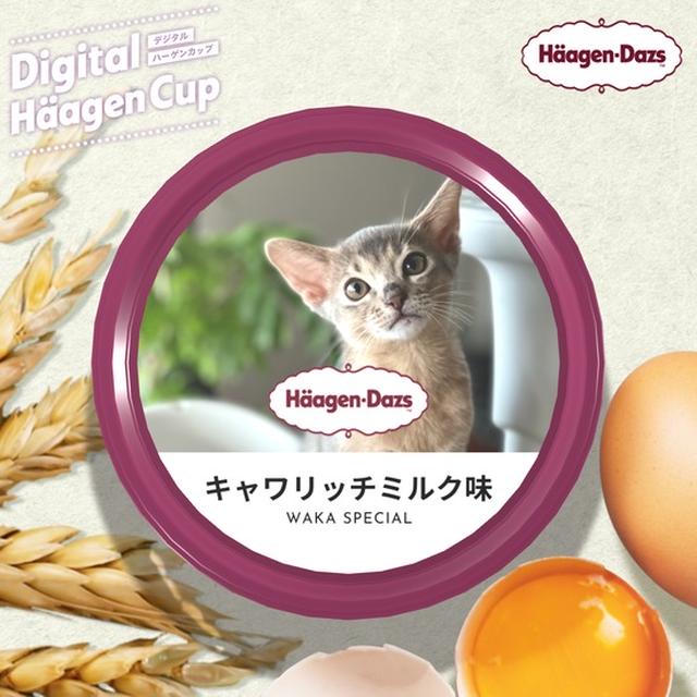 ハーゲンダッツのニューフレイバー⁇