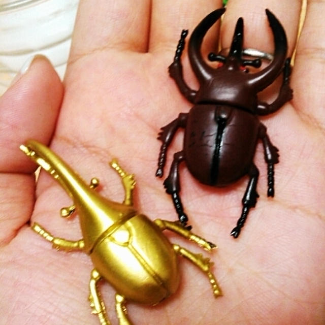 息子が一緒に寝ているもの