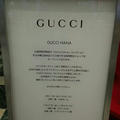 GUCCI HANAコレクション