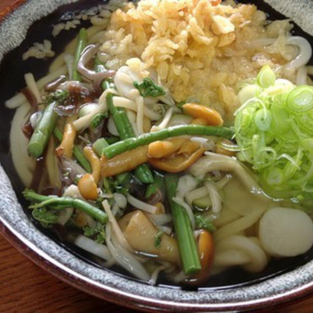 今日の麺は「山菜うどん」