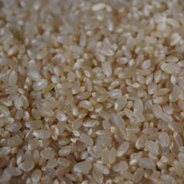 0730　発芽玄米