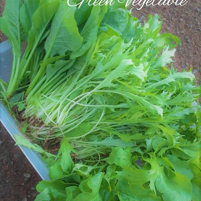 葉物野菜と「カマスと彩り野菜のバルサミコソテー」