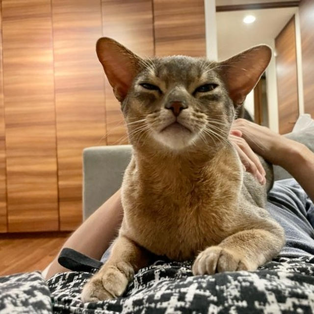 パパ大好き坊(*´ω`*)
