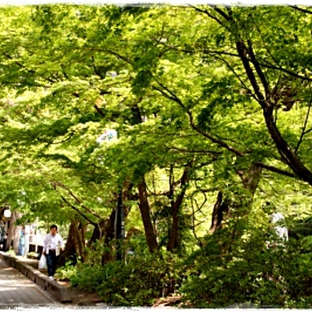 ■人気投票1位・袋田の滝■日本三名瀑・茨城県久慈郡