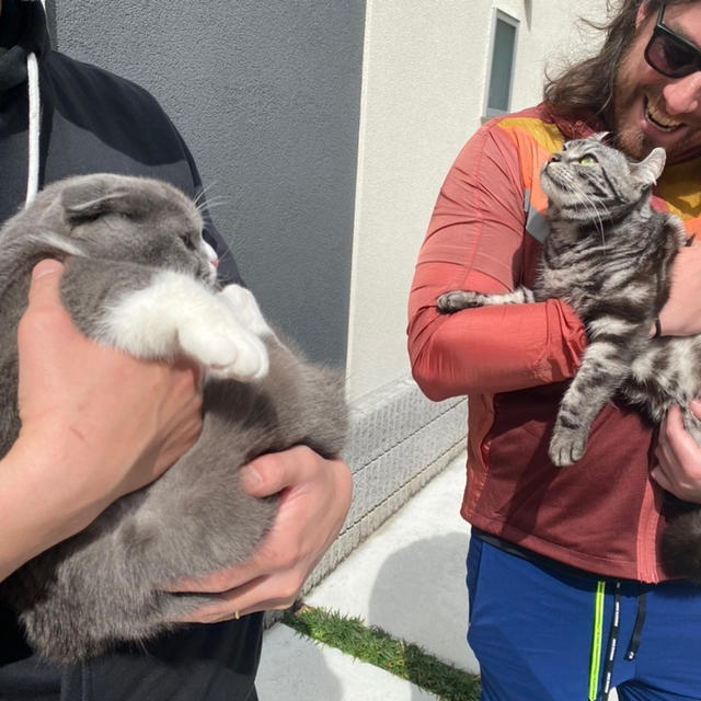 はじめての猫友