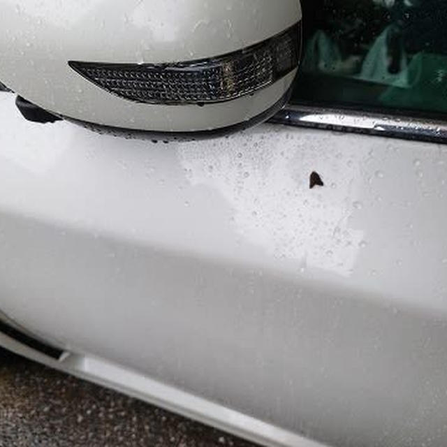 午後３時ごろまでが雨のピークでした