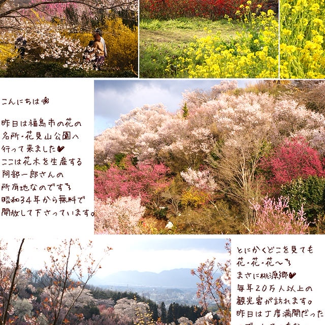 ■ここが桃源郷です(・∀・)■