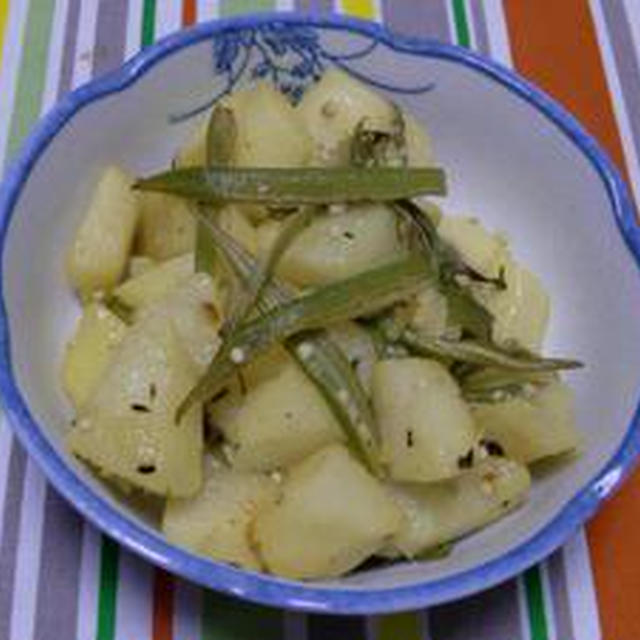 GABANカレースパイスで作ろう！！長いもとオクラのサブジ