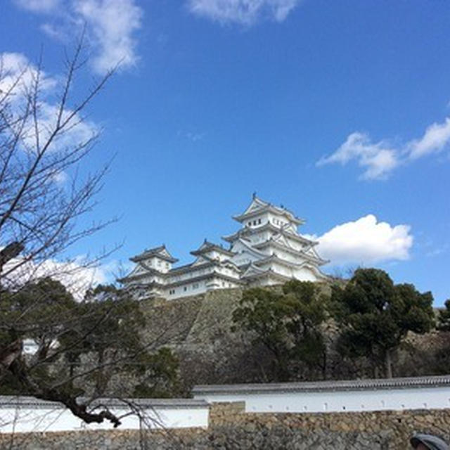 天気はええけど・・・