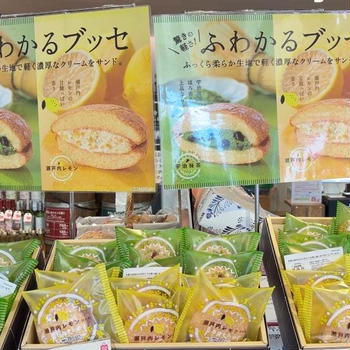 シャトレーゼ季節限定商品、どっちを選ぶ？と娘は...