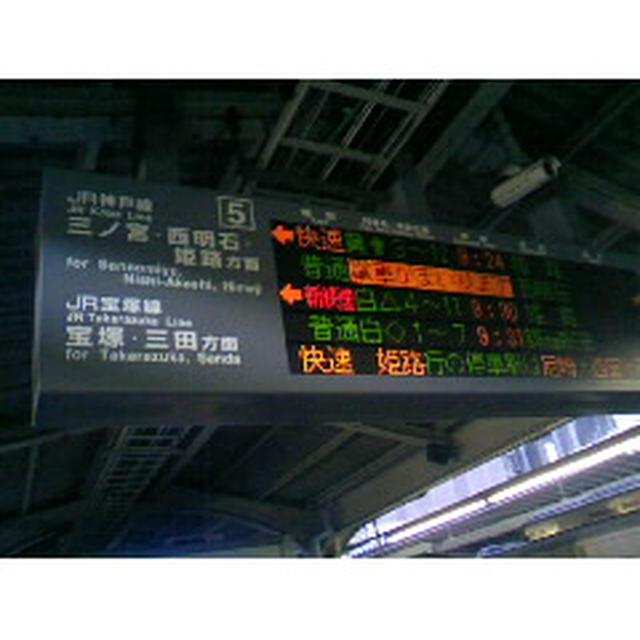 今日は