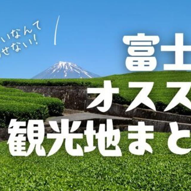 【観光】富士市の定番おすすめ観光スポット8選を地元民が紹介します!
