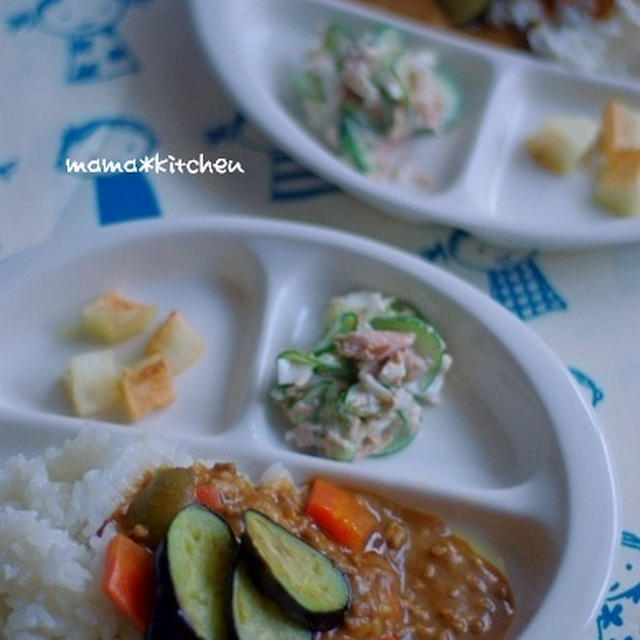 揚げナスのカレー、カレーに合うサラダ。