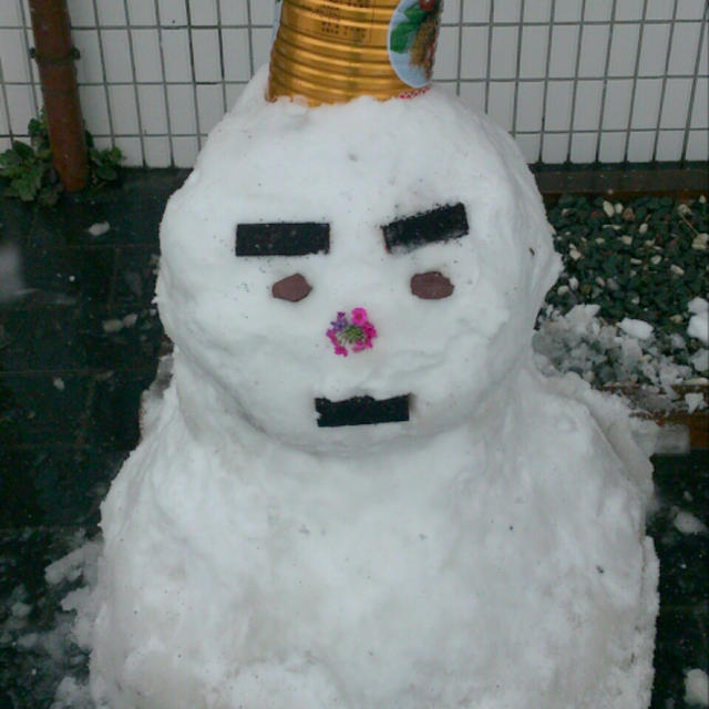 変な顔の雪だるま～♪
