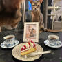 ちび子とケーキ&ねこの日のインスタ動画
