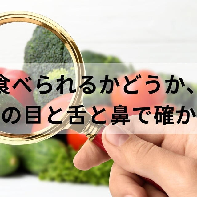自分の目と鼻と舌で確かめて料理してる？