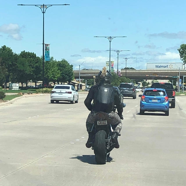 街で見つけた面白いバイカー