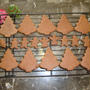 失敗にもめげずにクリスマス・クッキー…!♡(=^・^=)♪