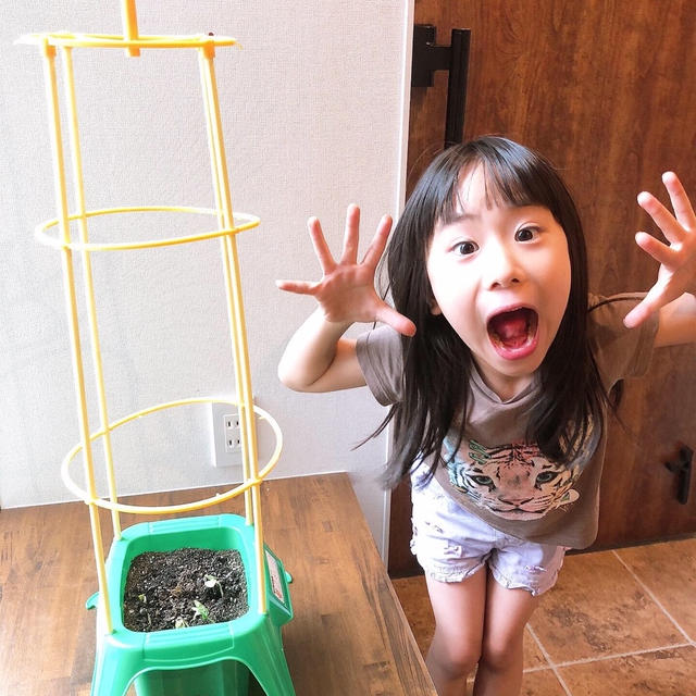 芽が出た！！