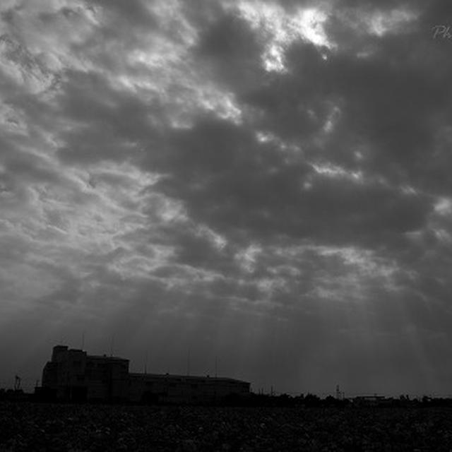Sky
