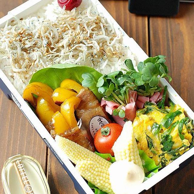 【高校生男子】豚バラのパプリカ巻き弁当
