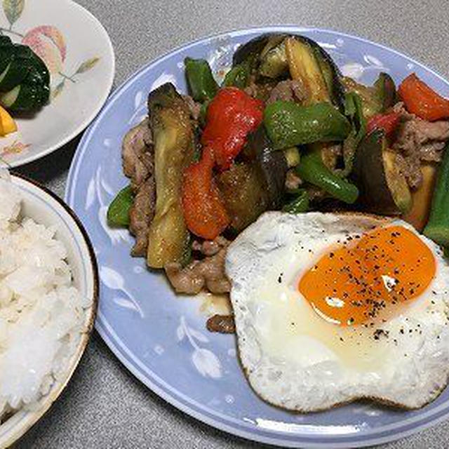 茄子と豚肉の味噌炒め