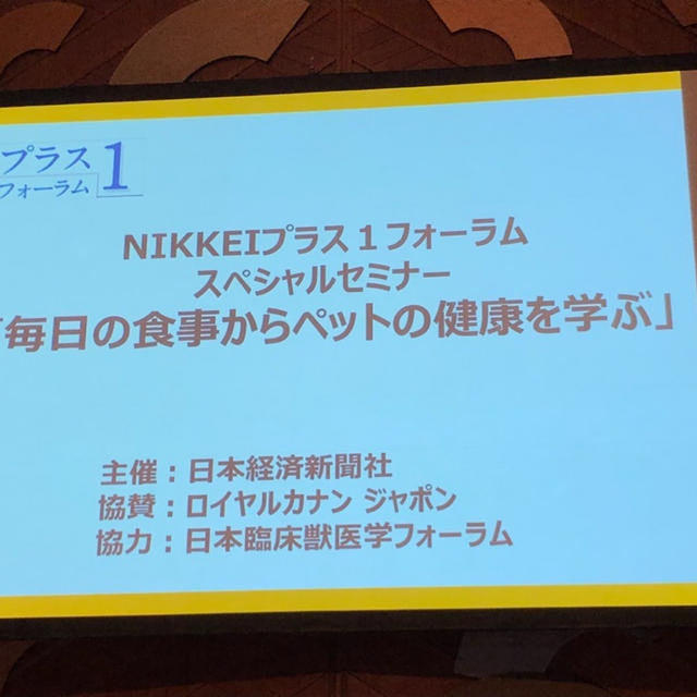 毎日の食事からペットの健康を学んできました。