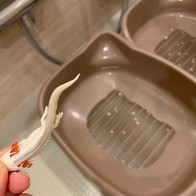 猫のトイレ洗浄、ほぼ毎日しています。