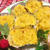 食感嬉しい♪スイートポテト