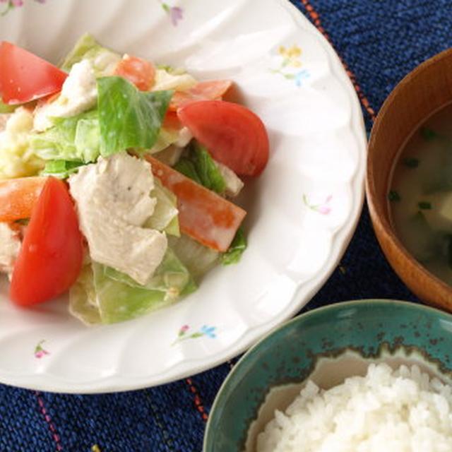 キャベツと鶏胸のおかずサラダ