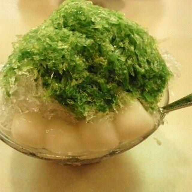 もう7月！思い切って走ってみた！