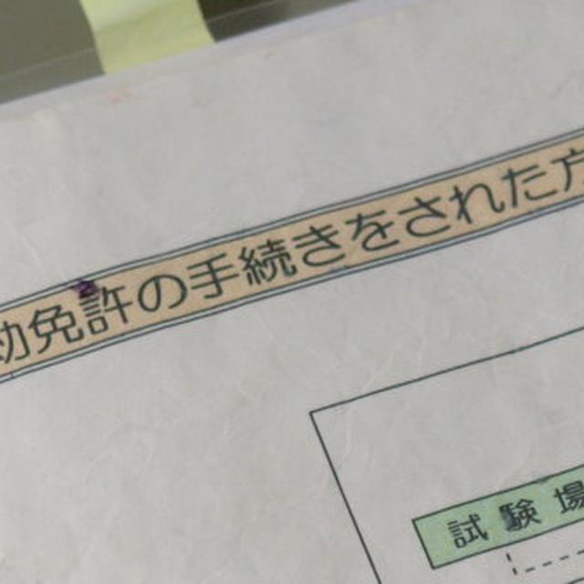 免許の失効と新取得　＆　シシリアンライス
