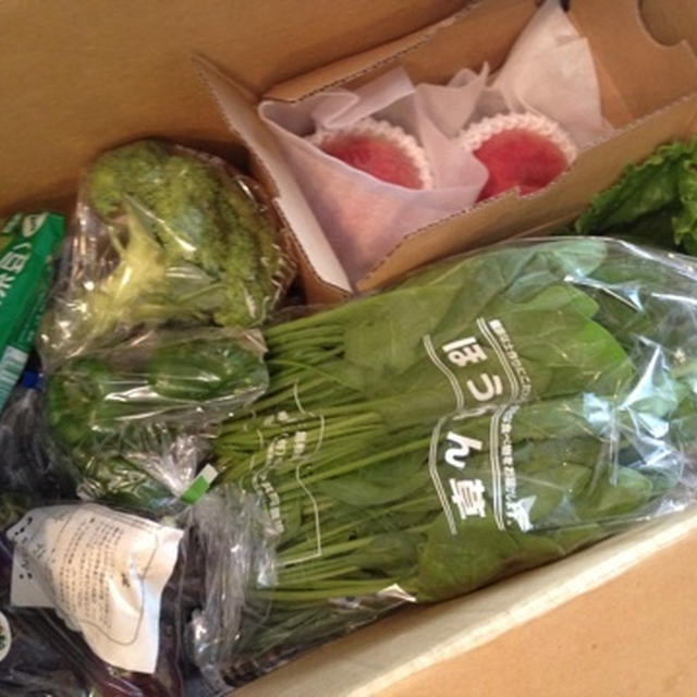 お野菜の日（８/３１）にフレッシュ野菜到着！なにつくろ！