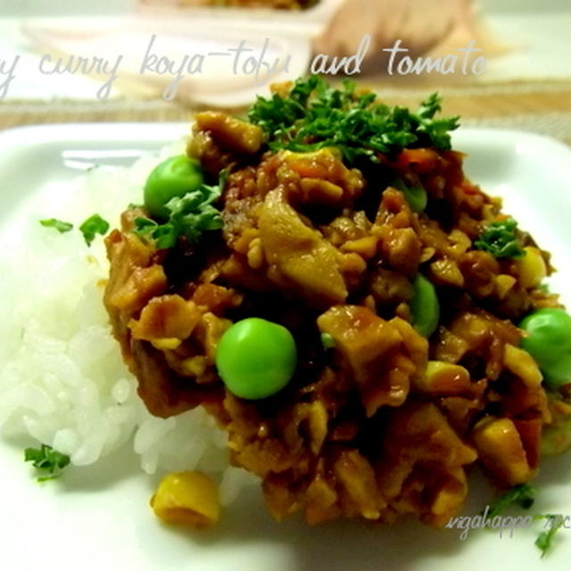 ≪高野豆腐とトマトのヘルシードライカレー≫