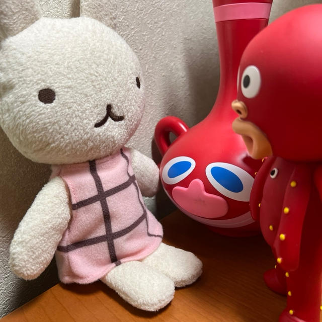 バッグ買っちゃた！楽天スーパーセール 買ったもので届いてないもの　デンタルケア・ドライフルーツ