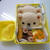 9月15日　しろくまサンド弁当