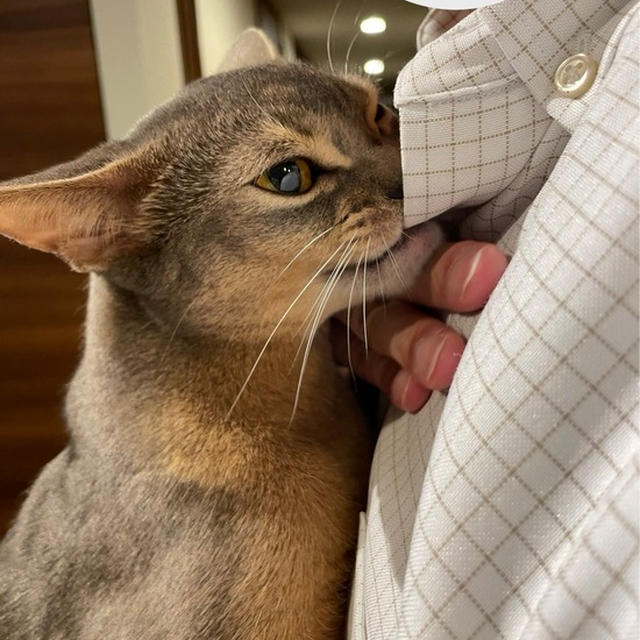 甘えてると思いきや…