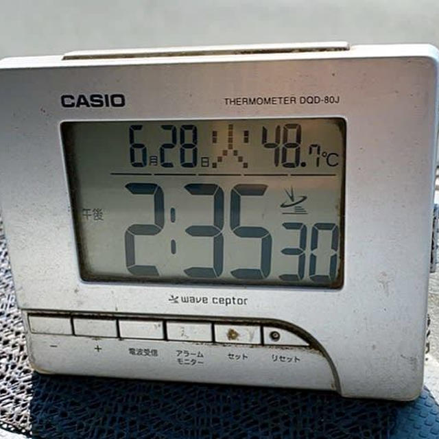 一年で猫が最も長くなる季節w