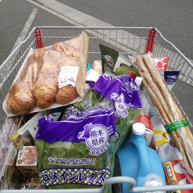 コストコ 今日のお買い得